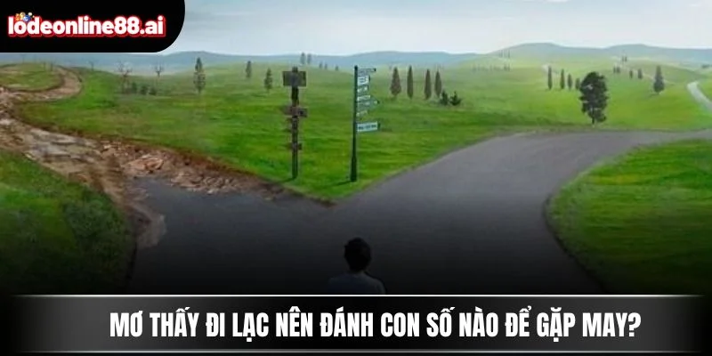 Mơ thấy đi lạc nên đánh con số nào để gặp may?