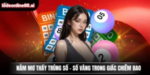 Nằm Mơ Thấy Trúng Số - Số Vàng Trong Giấc Chiêm Bao